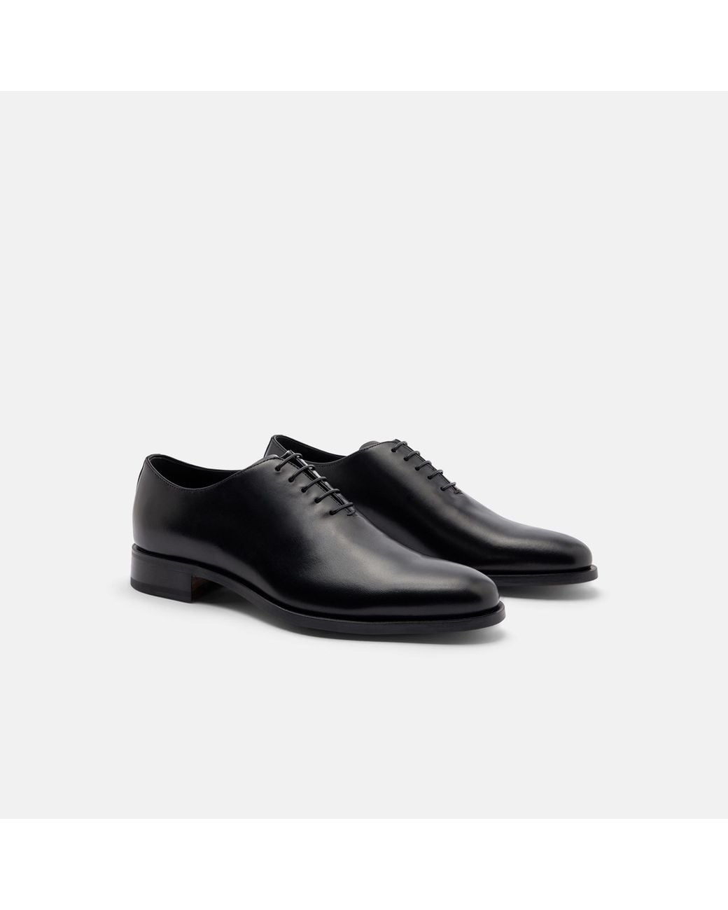 Scarosso Black Ignazio for men
