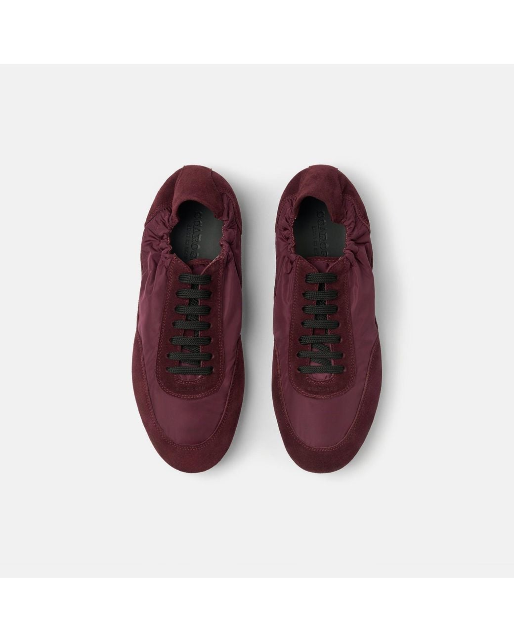 Scarosso Purple Sneakers for men