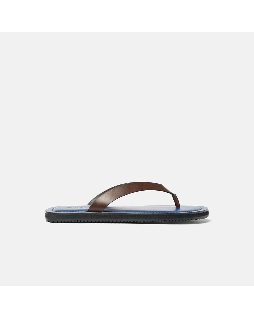 Scarosso Brown Ascanio Edit for men