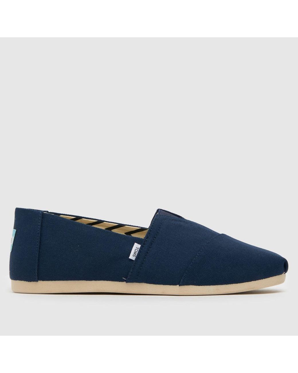 TOMS Blue Alp Shoes for men