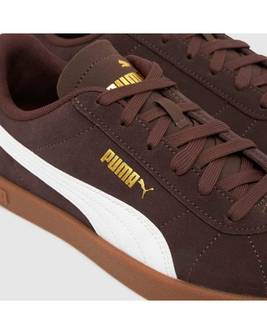 PUMA Brown Club Ii Era Trainers