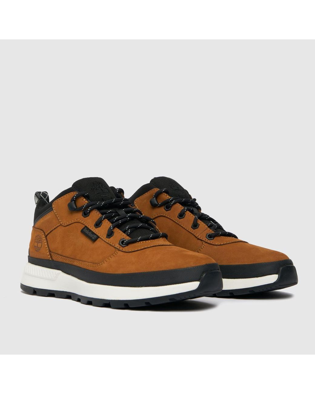 Timberland Brown And Field Trekker Low Boots for men