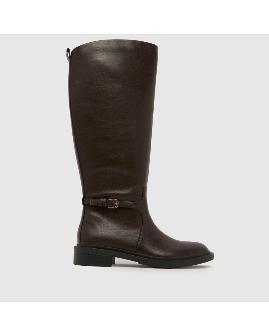Schuh Brown Daniela Riding Boots