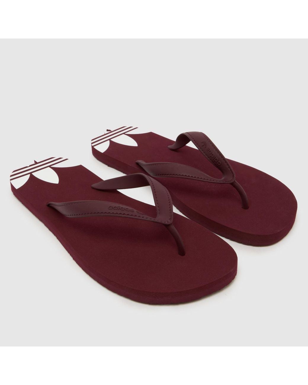 Adidas Red Adi Sun Flip Flops