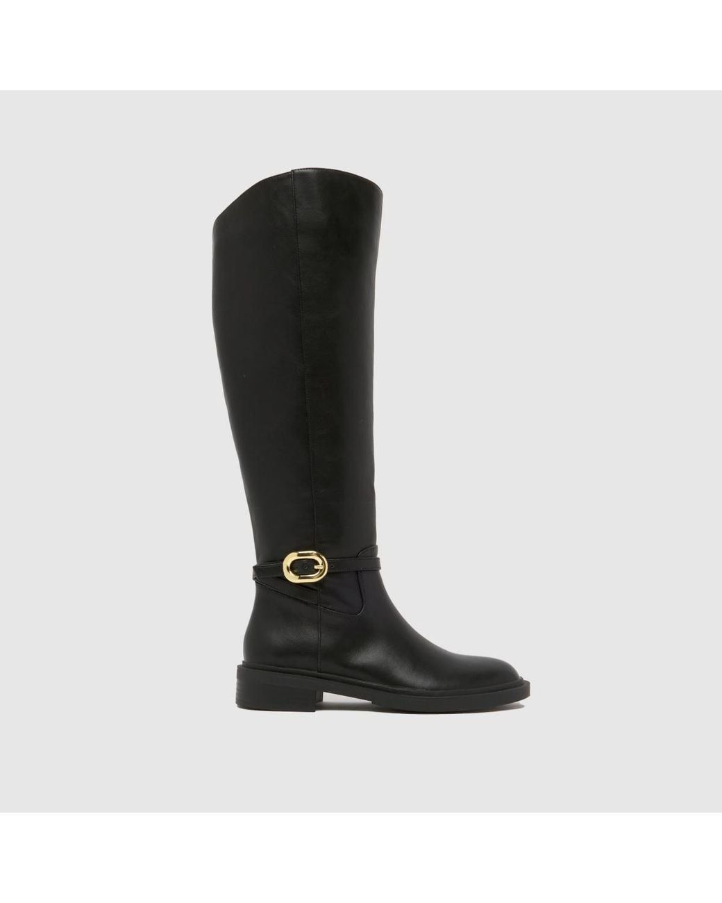 Schuh Black Dory Riding Boots