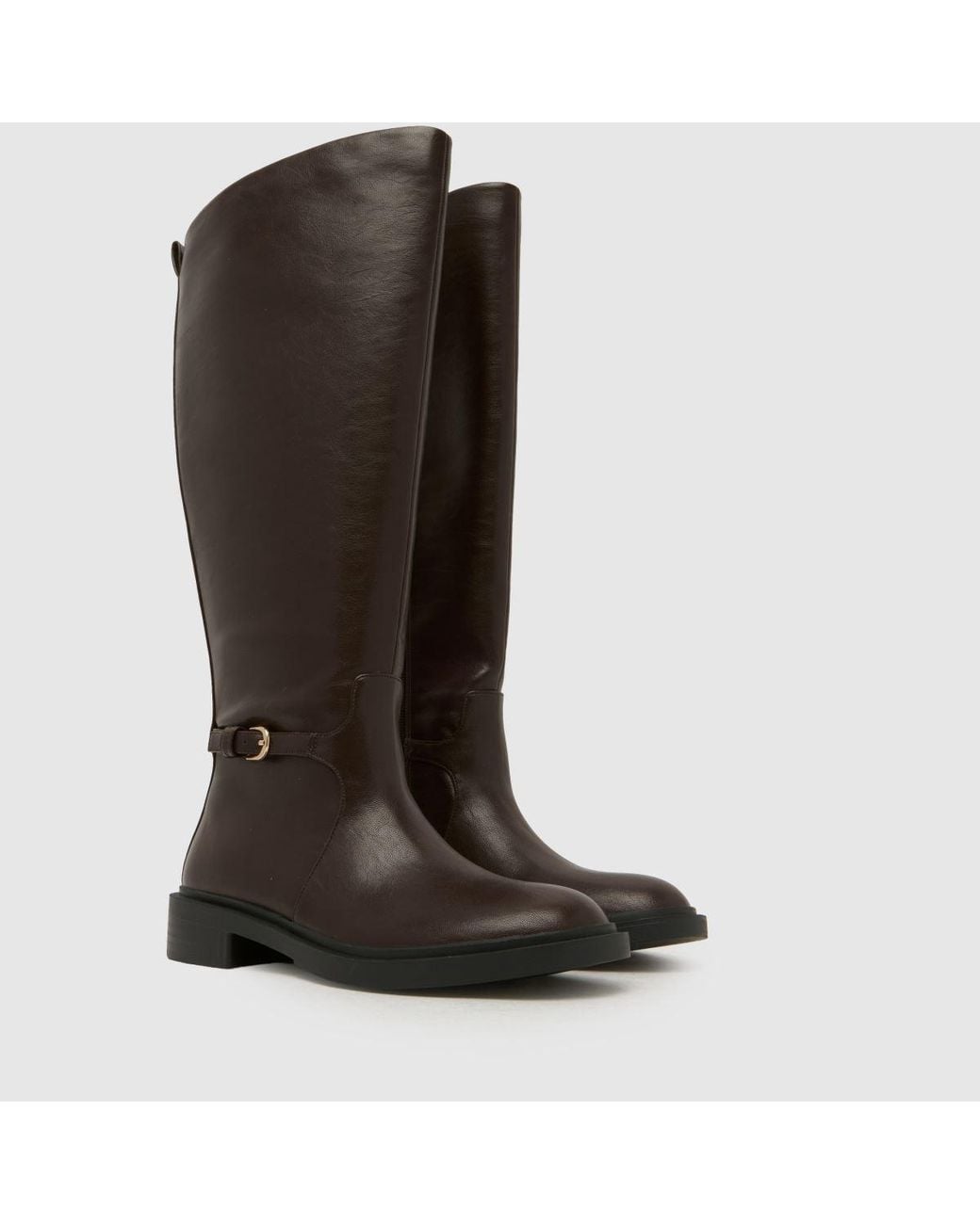 Schuh Brown Daniela Riding Boots