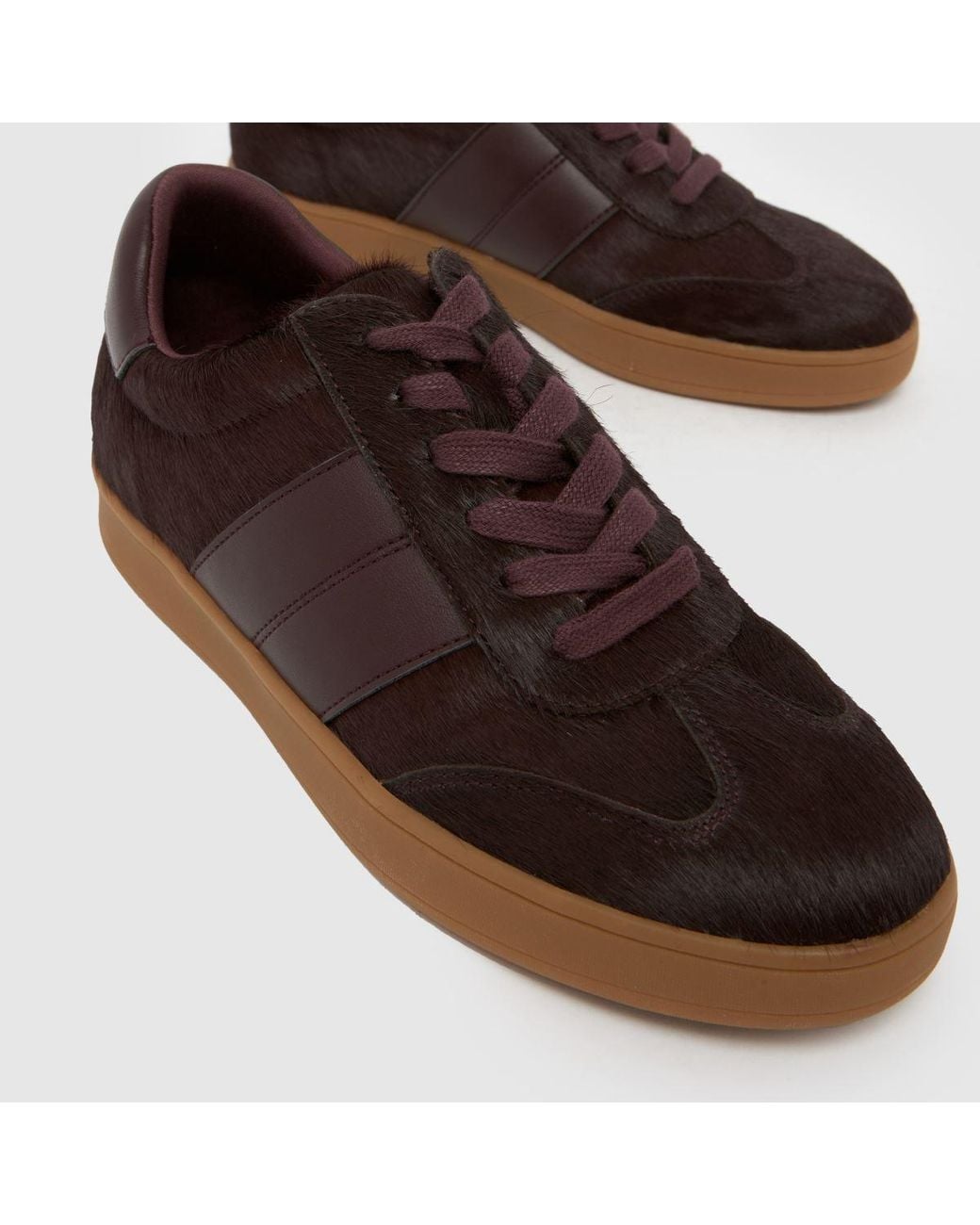 Schuh Brown Miley Leather Trainer Trainers