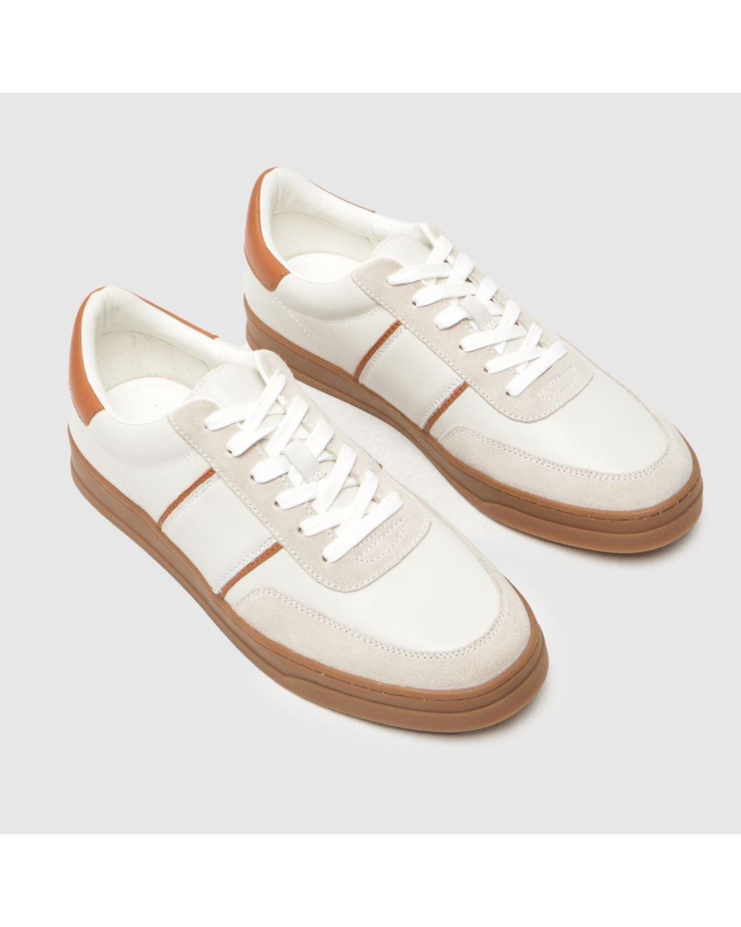 Schuh Brown Winnie Gum Sole Trainers for men