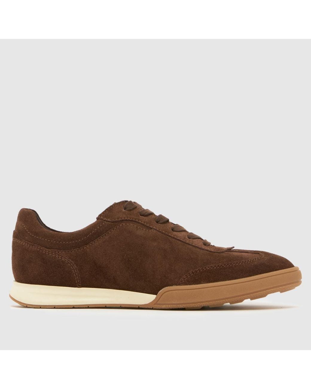 Schuh Brown Waldorf Suede Trainers for men
