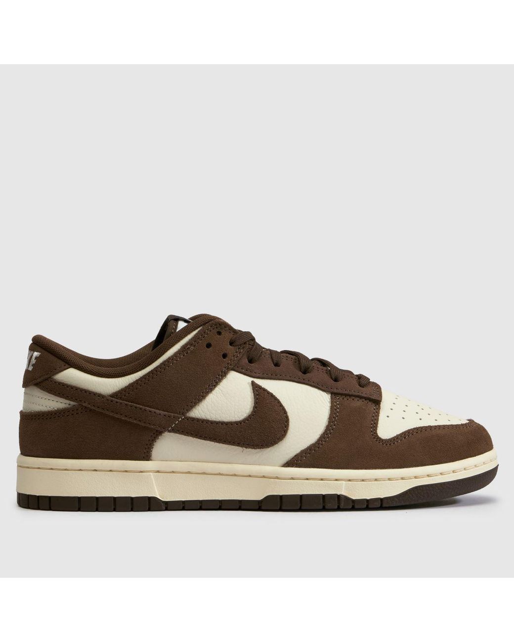 Nike Brown Dunk Low Trainers for men