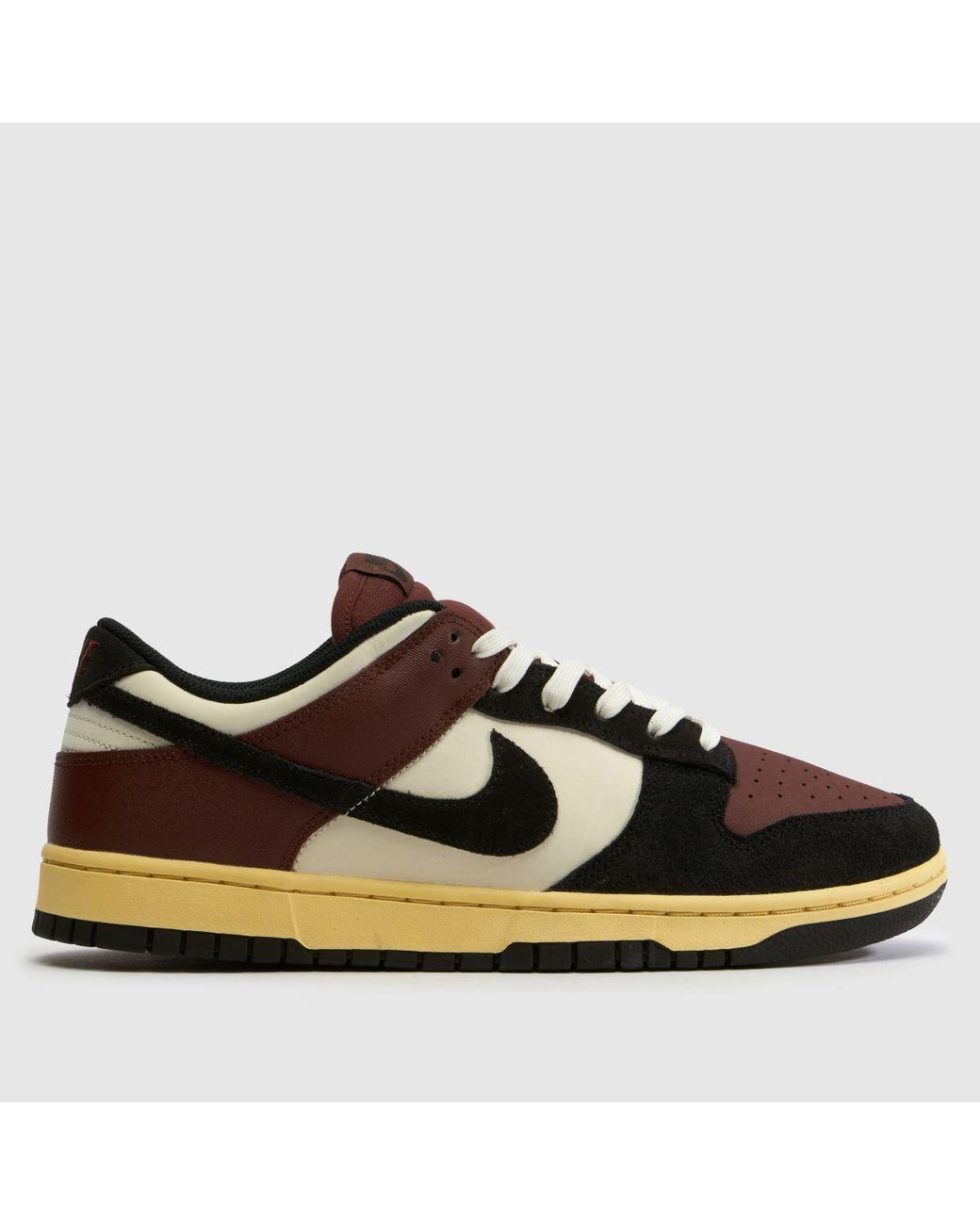 Nike Brown Dunk Low Trainers for men