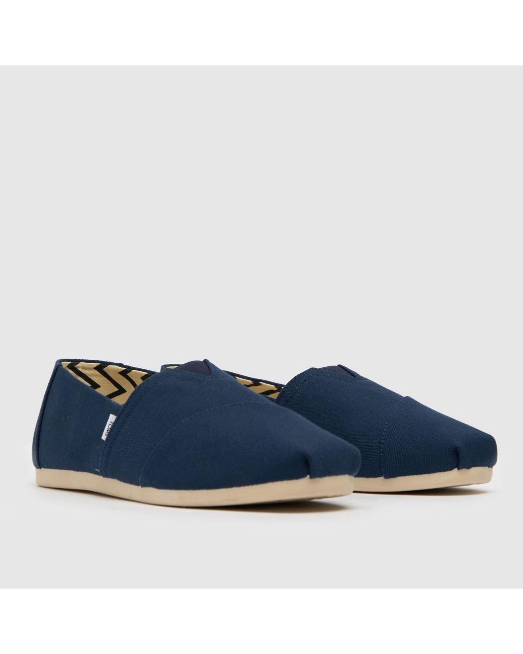 TOMS Blue Alp Shoes for men