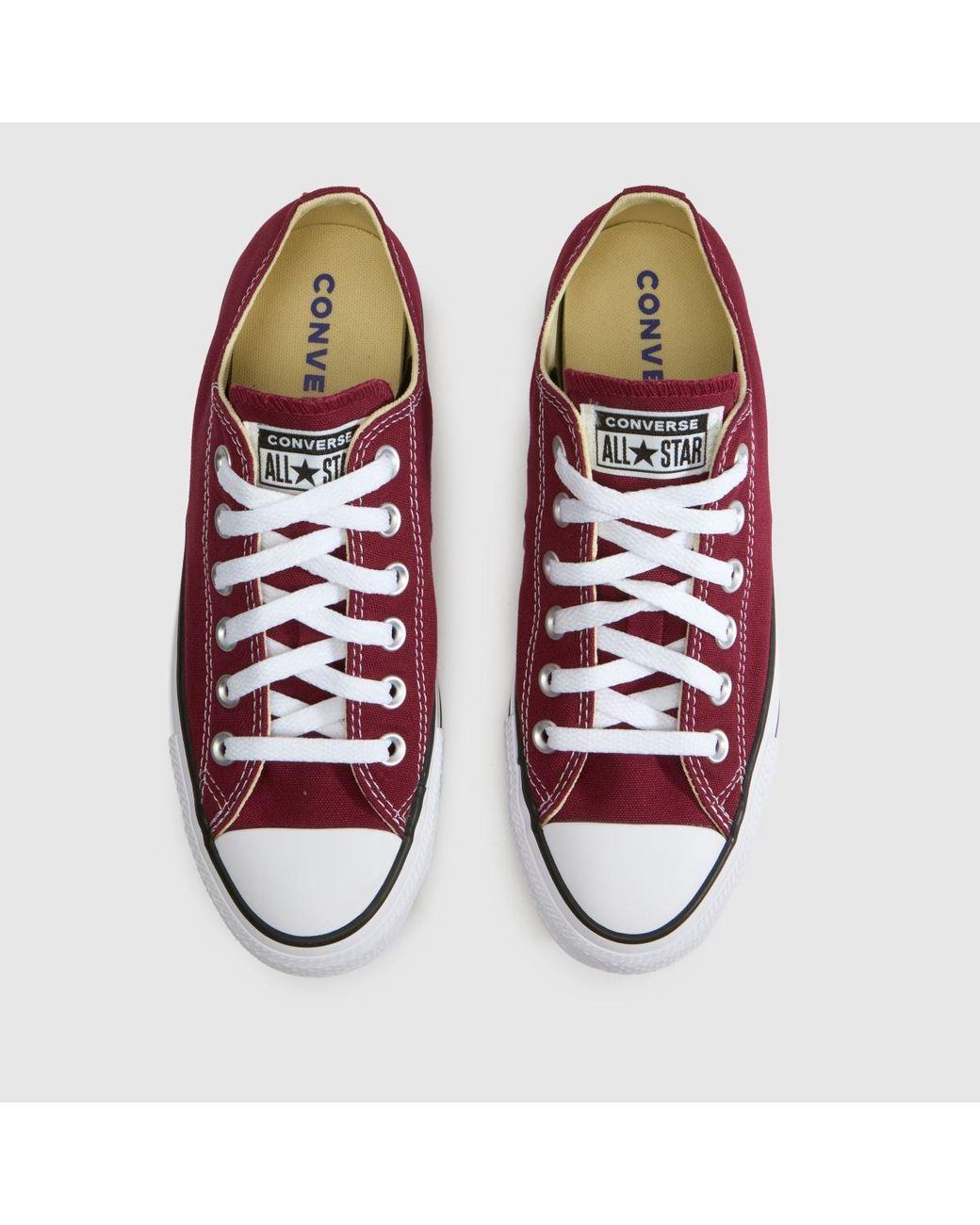 Converse Multicolor All Star Ox Trainers
