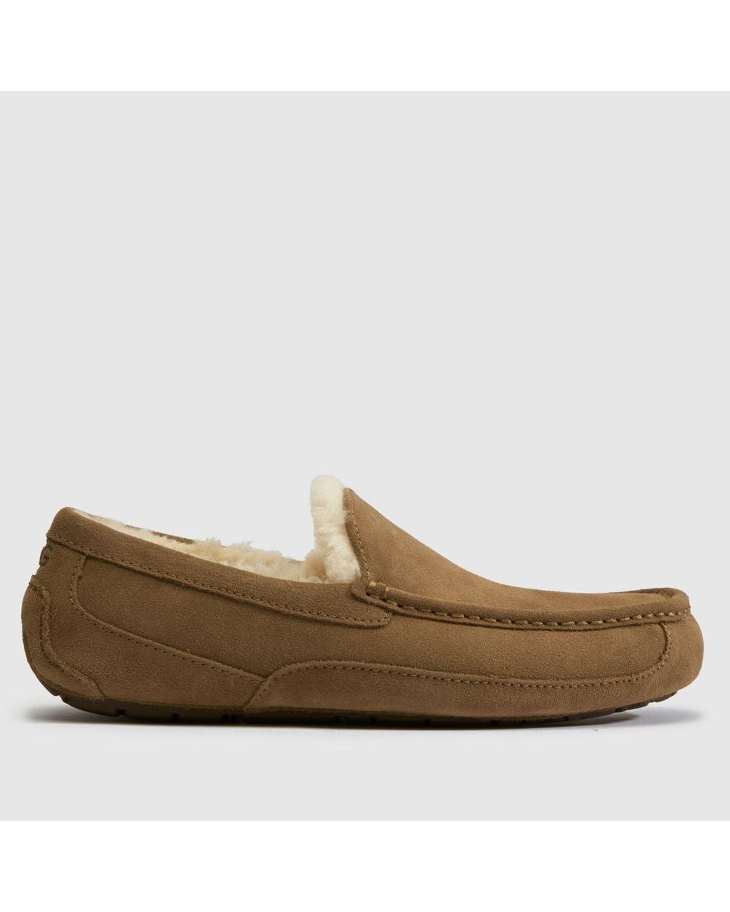 Ugg Brown Ascot Slippers for men