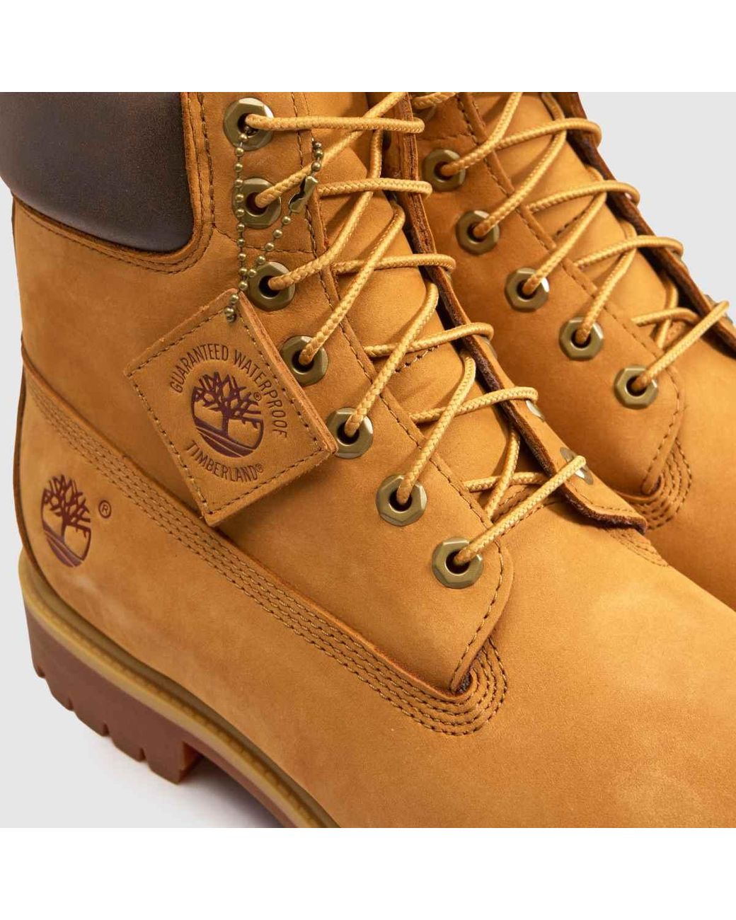 Timberland Brown 6 Inch Double Tongue Boots for men