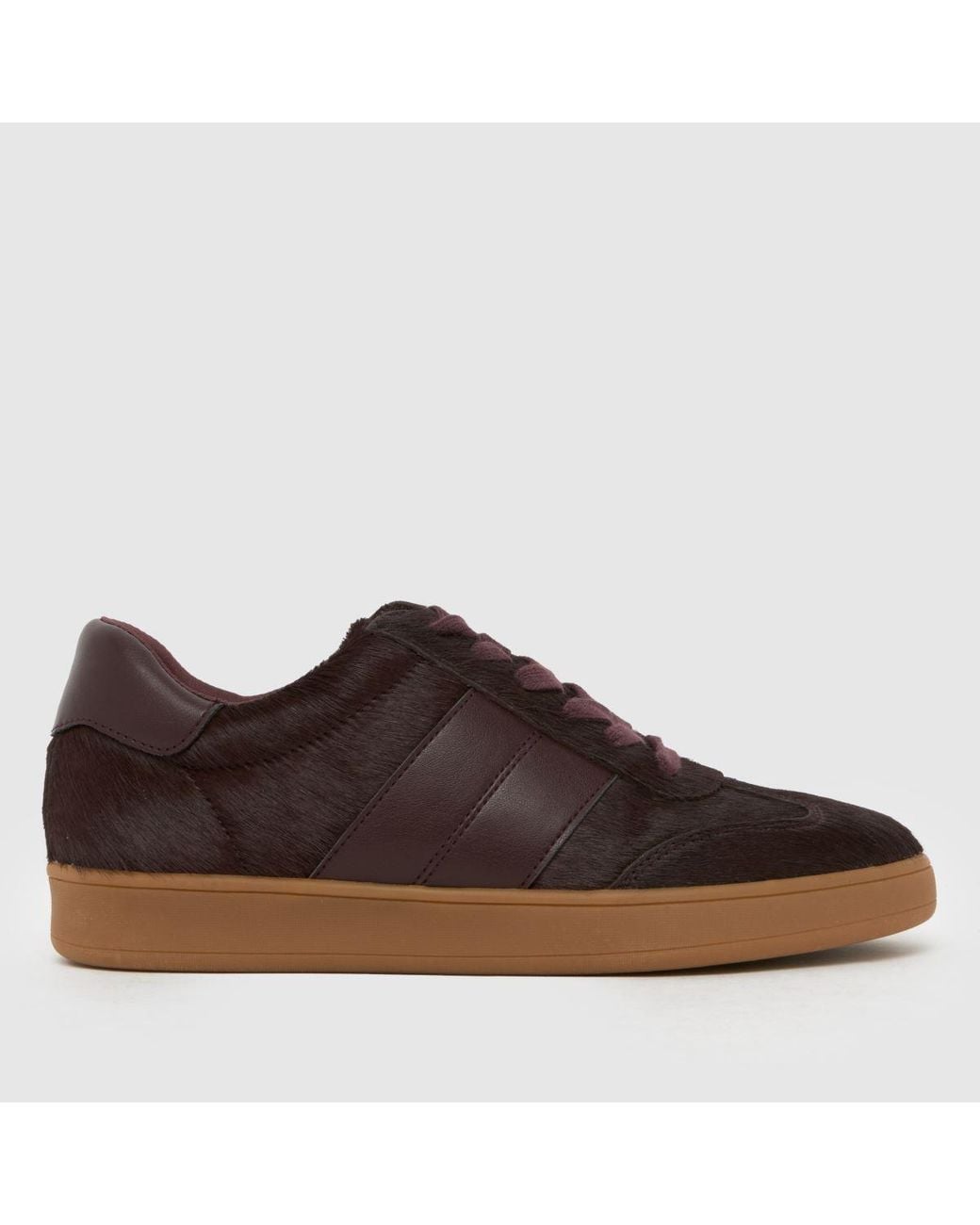 Schuh Brown Miley Leather Trainer Trainers