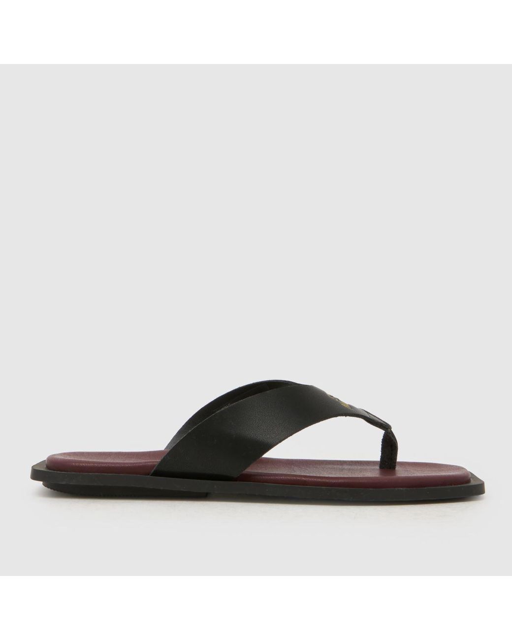 Steve Madden Brown Splash-B Flip Sandals