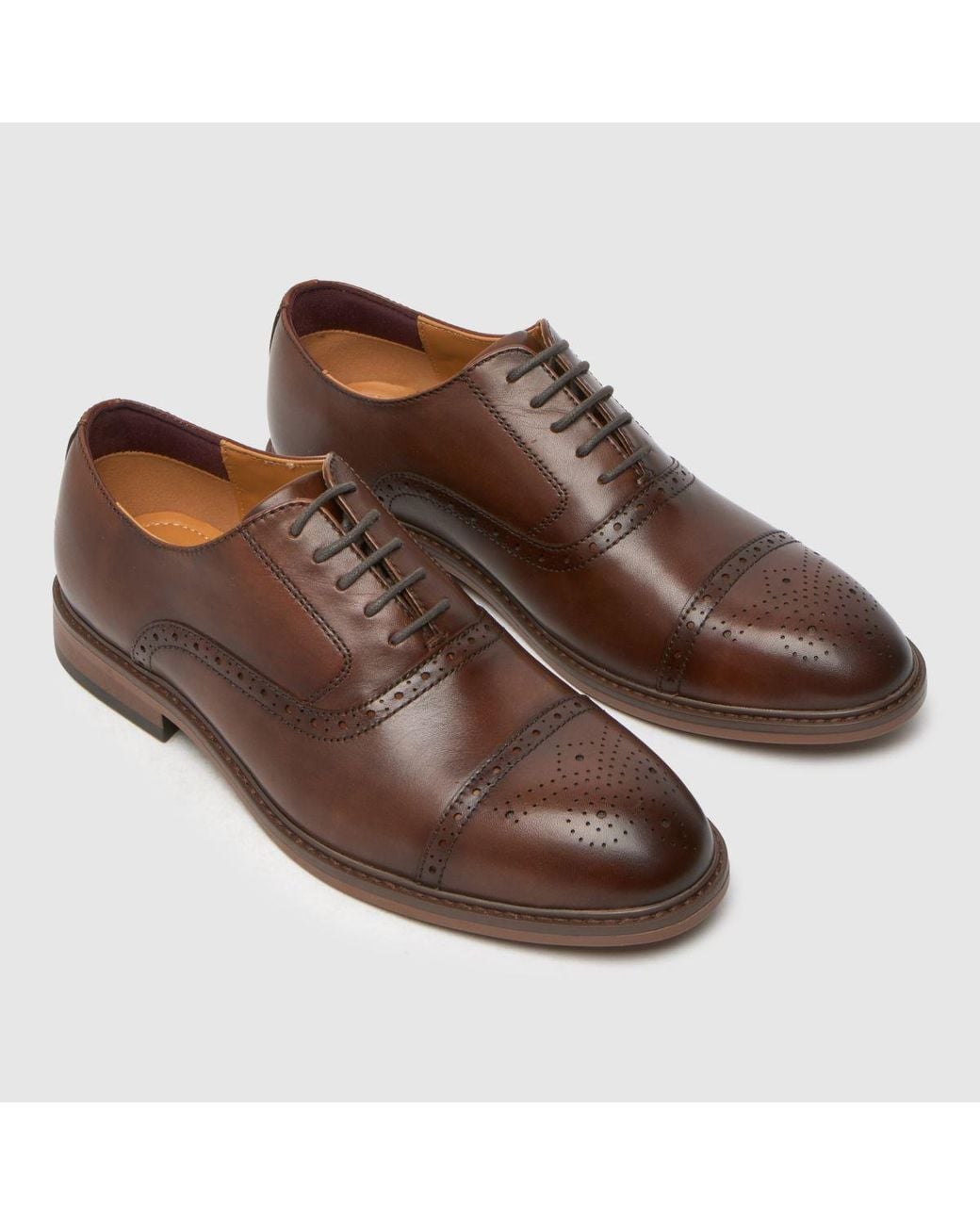 Schuh Brown Raven Brogue Shoes for men