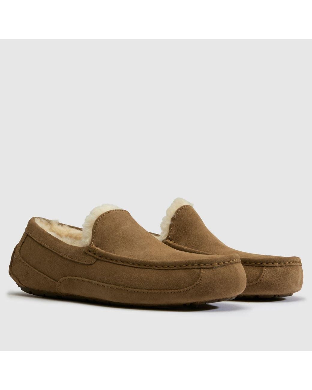 Ugg Brown Ascot Slippers for men