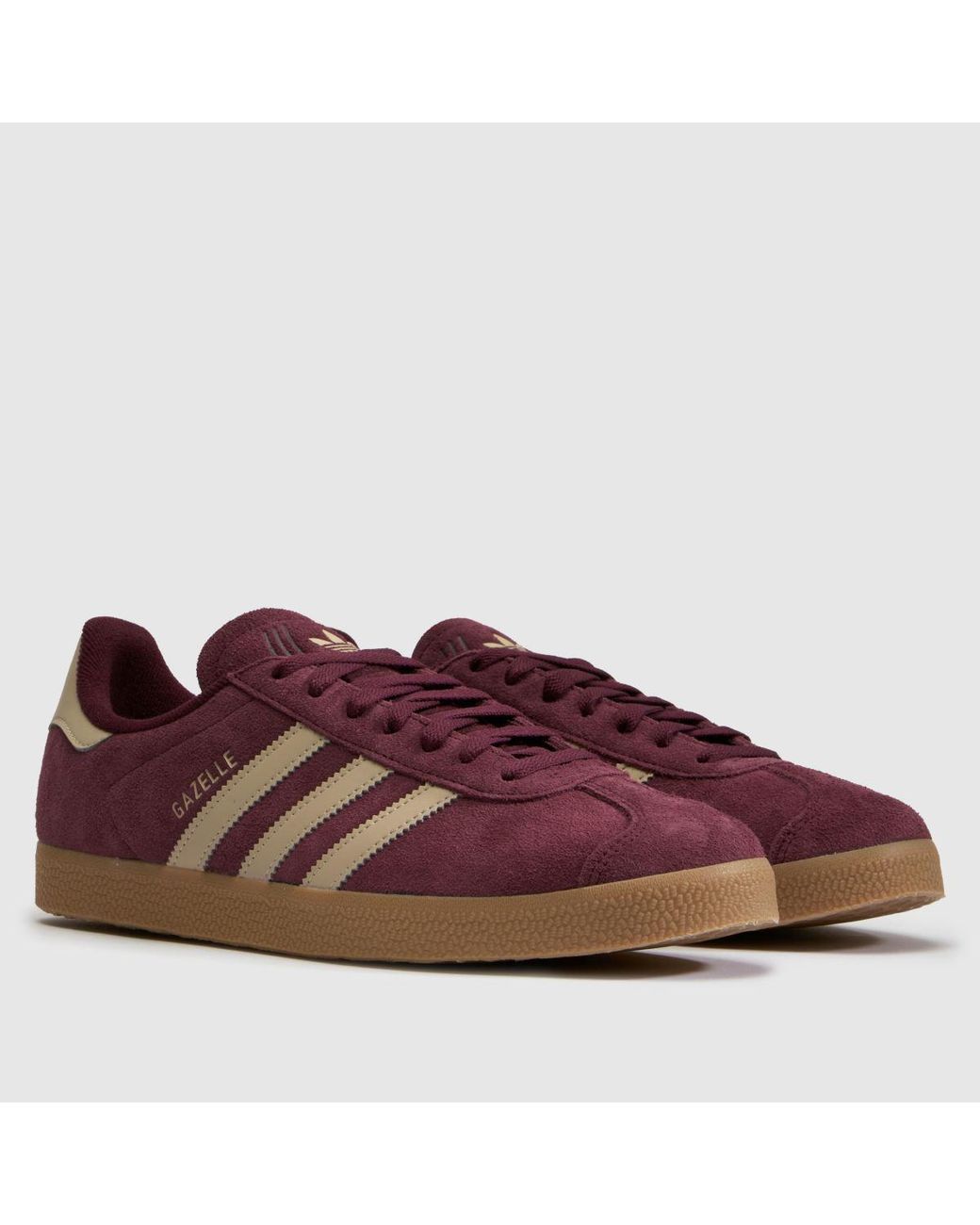 Adidas Brown Gazelle Trainers for men