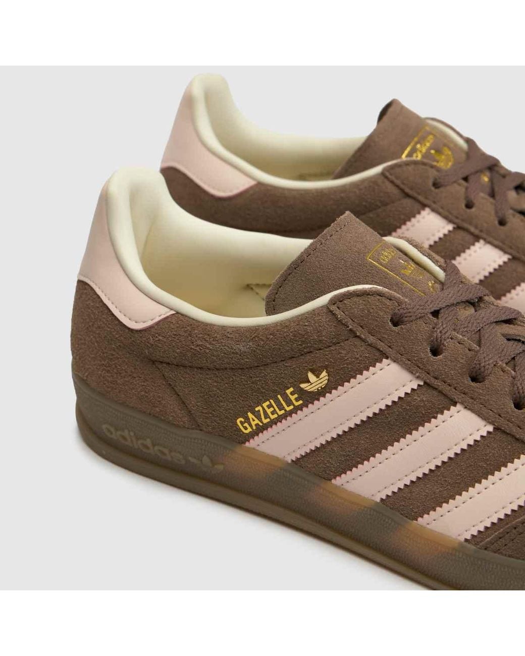 Adidas Brown Gazelle Indoor Trainers