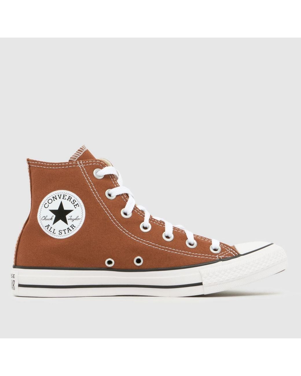 Converse Brown All Star Hi Trainers