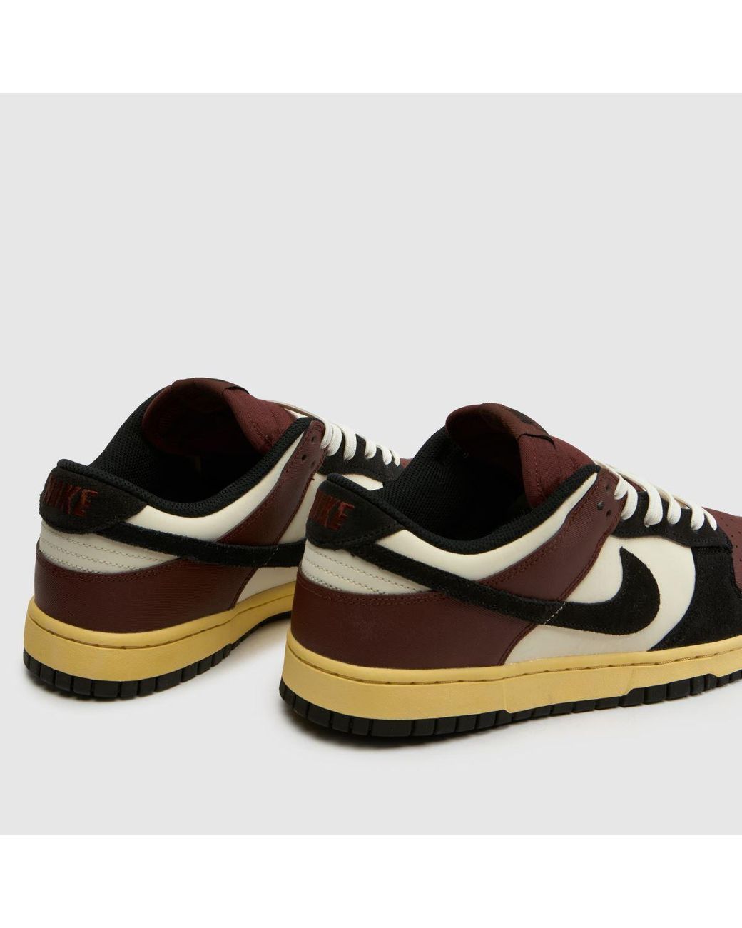 Nike Brown Dunk Low Trainers for men