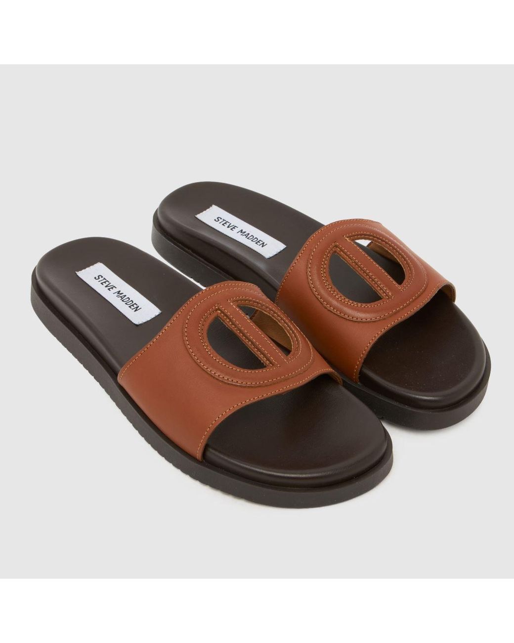 Steve Madden Brown Mayke Slide Sandals
