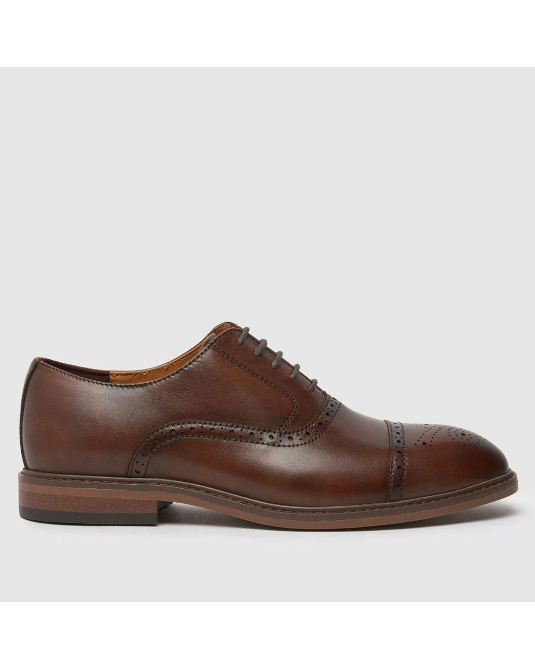 Schuh Brown Raven Brogue Shoes for men