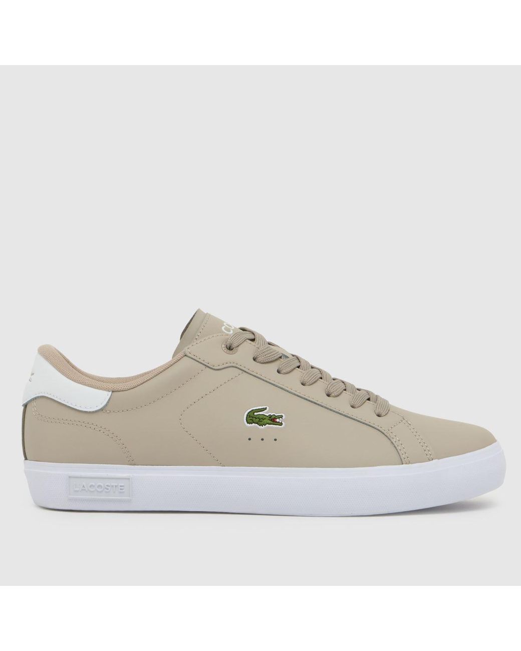 Lacoste Gray Powercourt Trainers for men