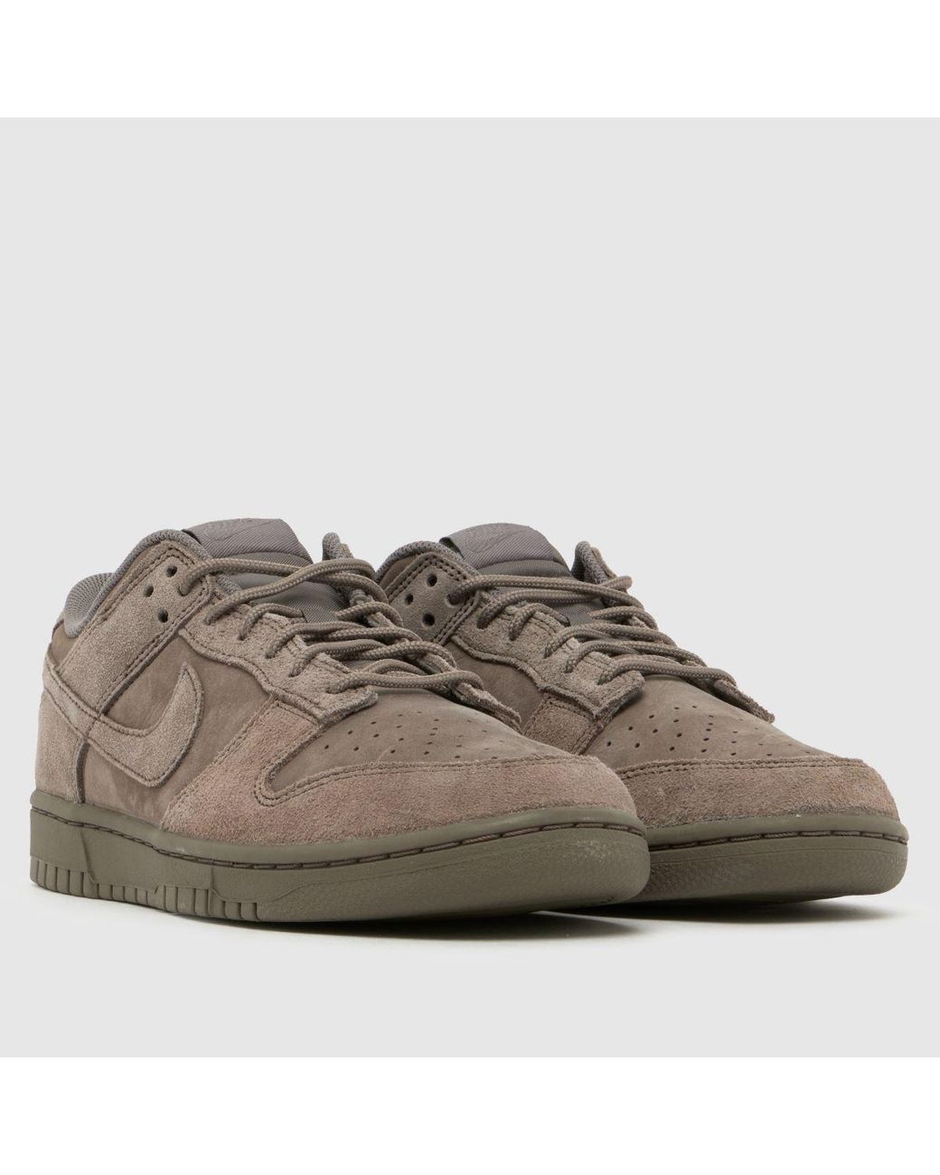 Nike Brown Dunk Low Trainers for men