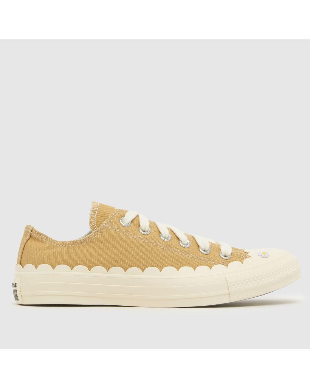 Converse Natural All Star Ox Trainers
