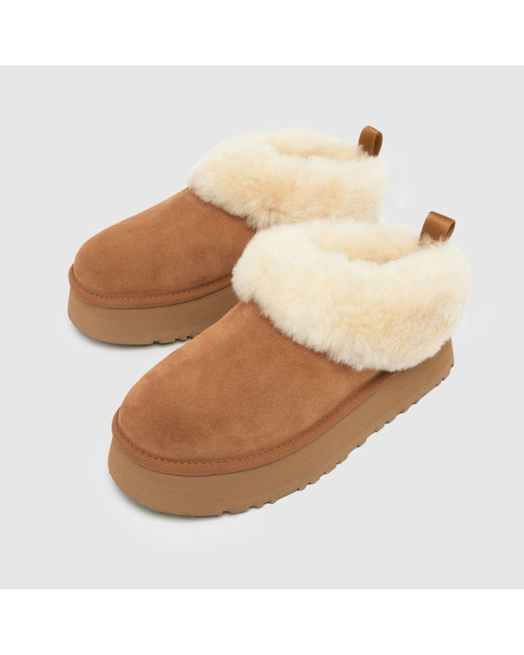 Ugg Brown Tazzelle Slippers