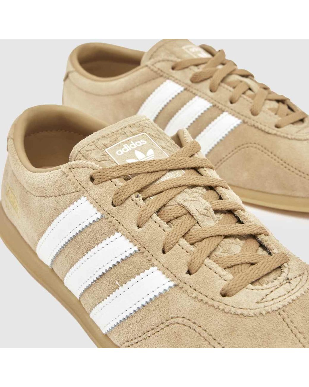 Adidas Natural Gazelle Lo Pro Trainers