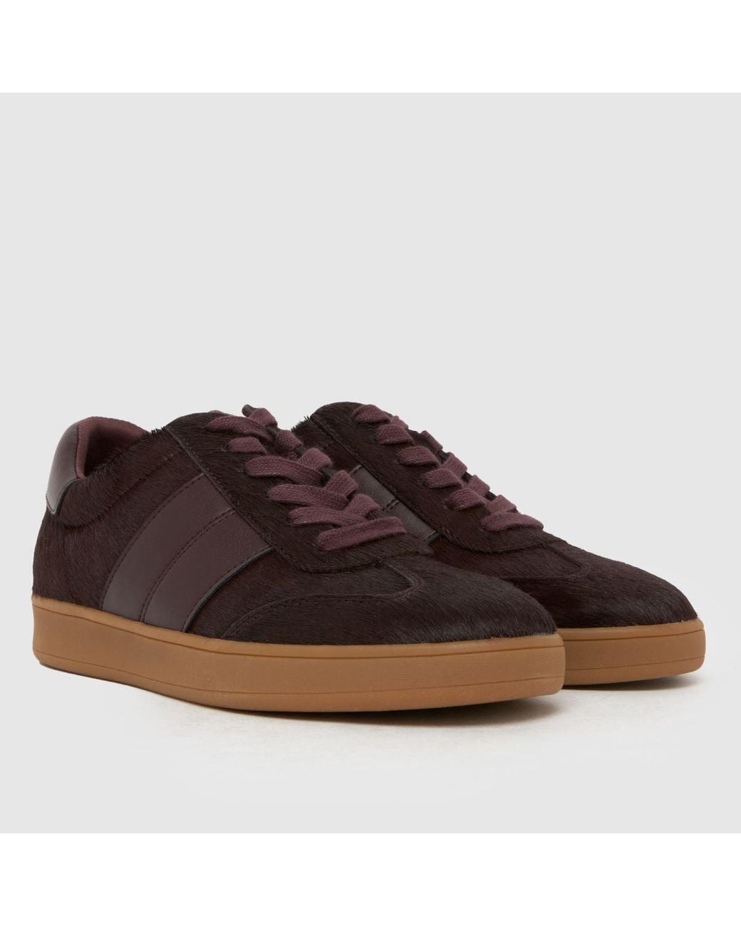Schuh Brown Miley Leather Trainer Trainers