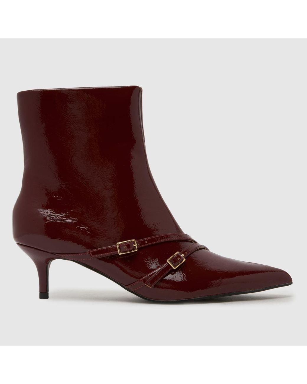 Schuh Brown Beckett Buckle Kitten Boots