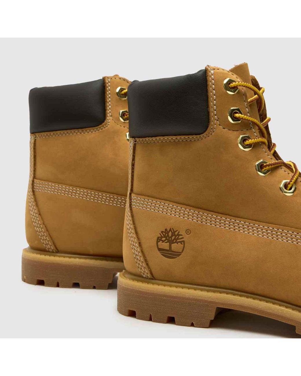 Timberland Brown 6 Inch Premium Boots