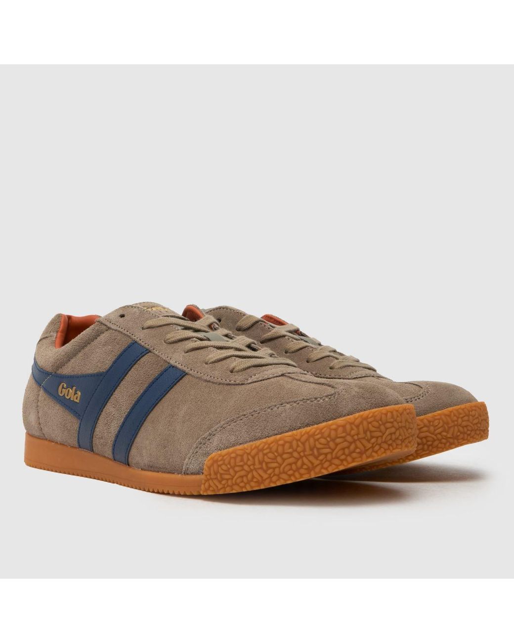 Gola Blue Harrier Trainers for men