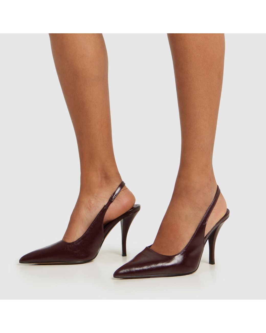 Schuh Brown Sophia Court High Heels