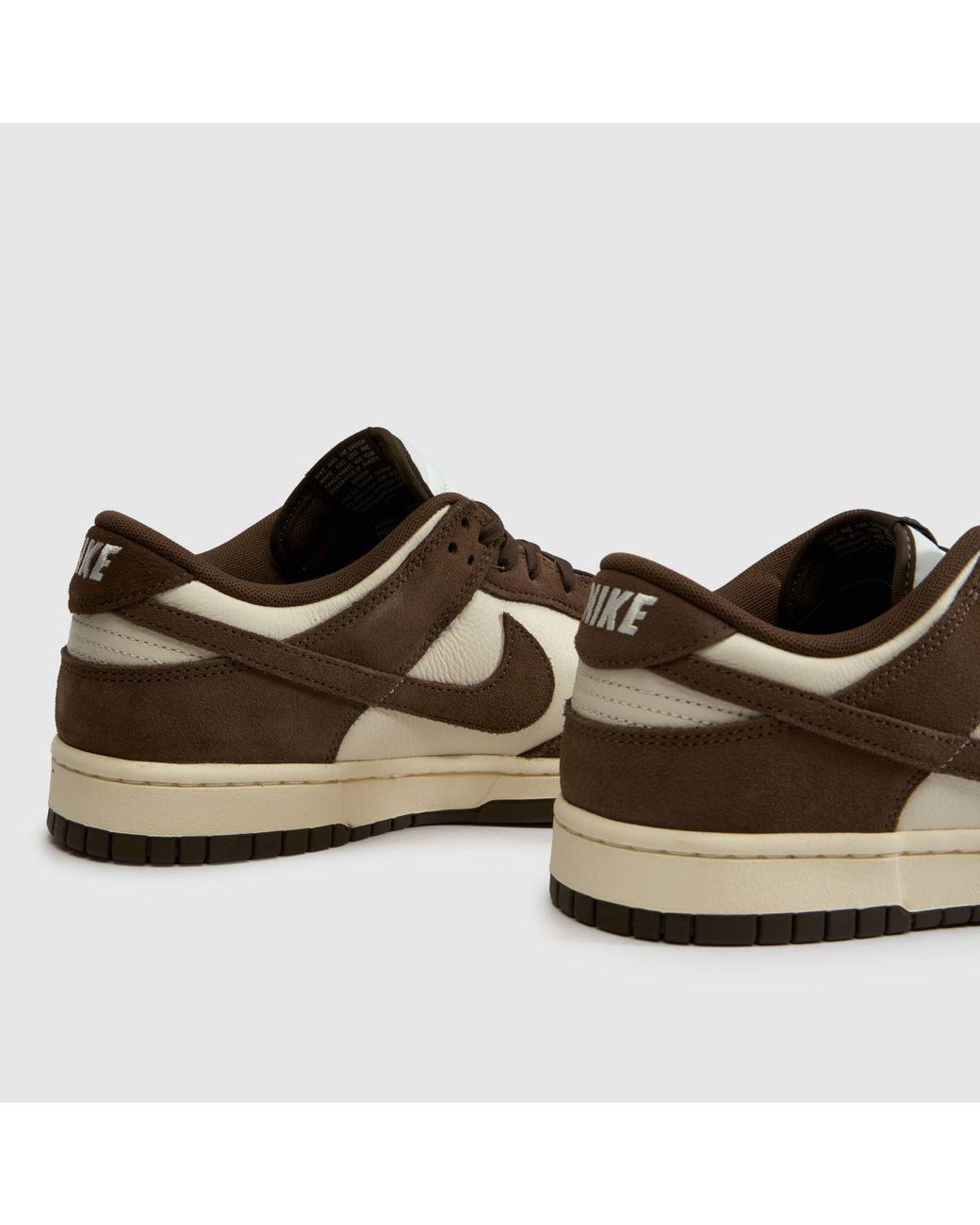 Nike Brown Dunk Low Trainers for men
