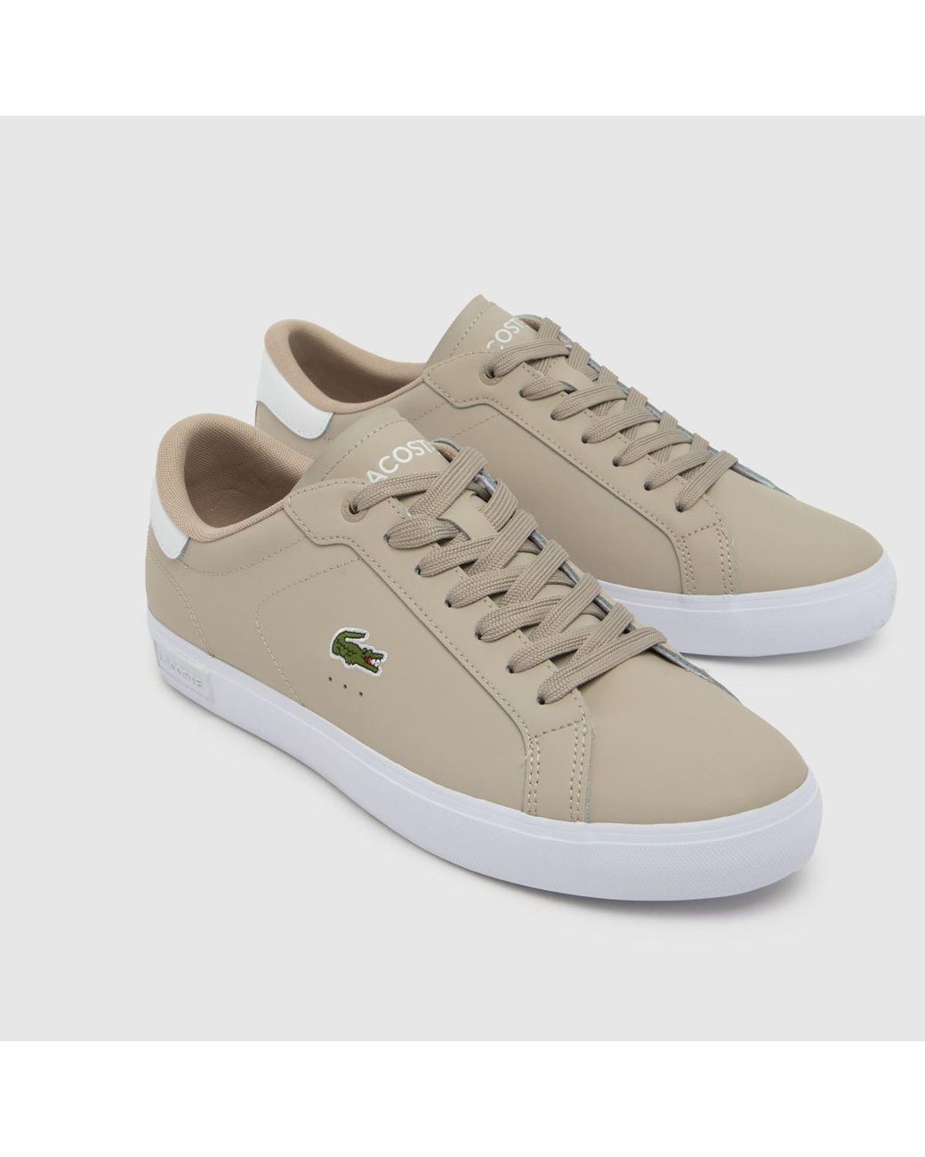 Lacoste Gray Powercourt Trainers for men