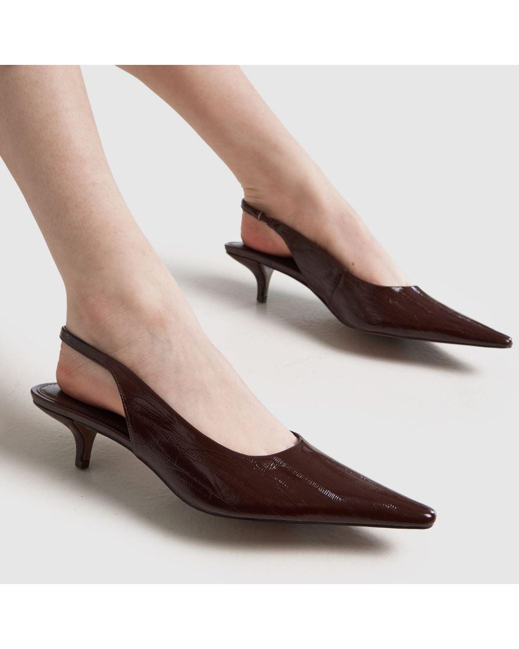 Schuh Brown Shery Court Kitten High Heels