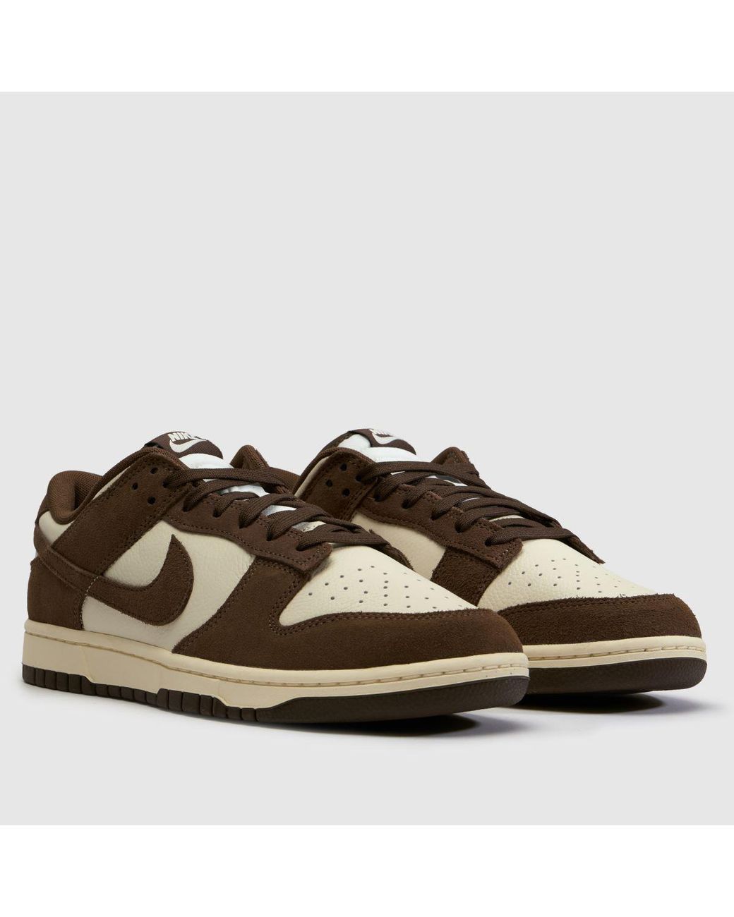 Nike Brown Dunk Low Trainers for men