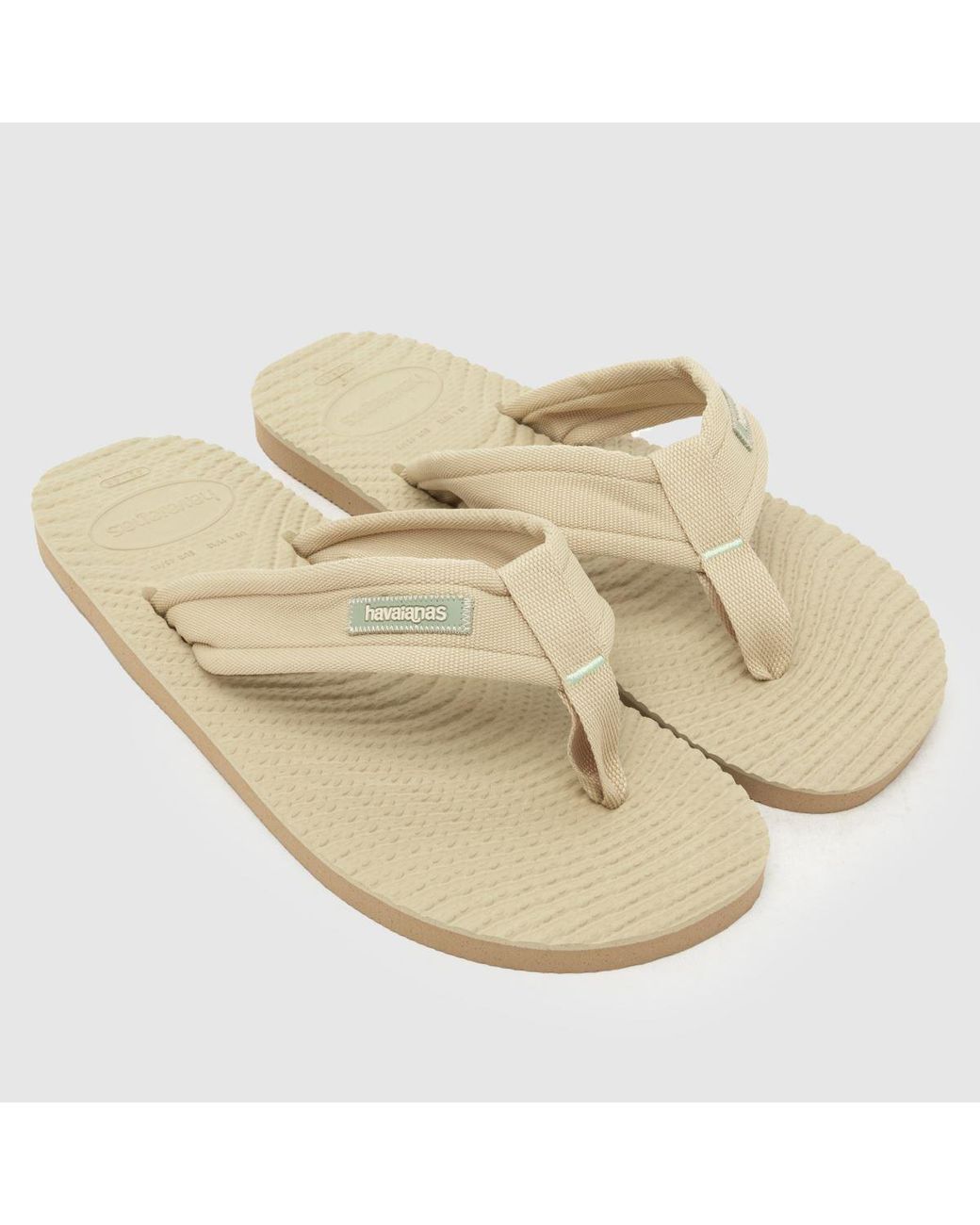 Havaianas Natural Surfer Coast Flip Sandals for men
