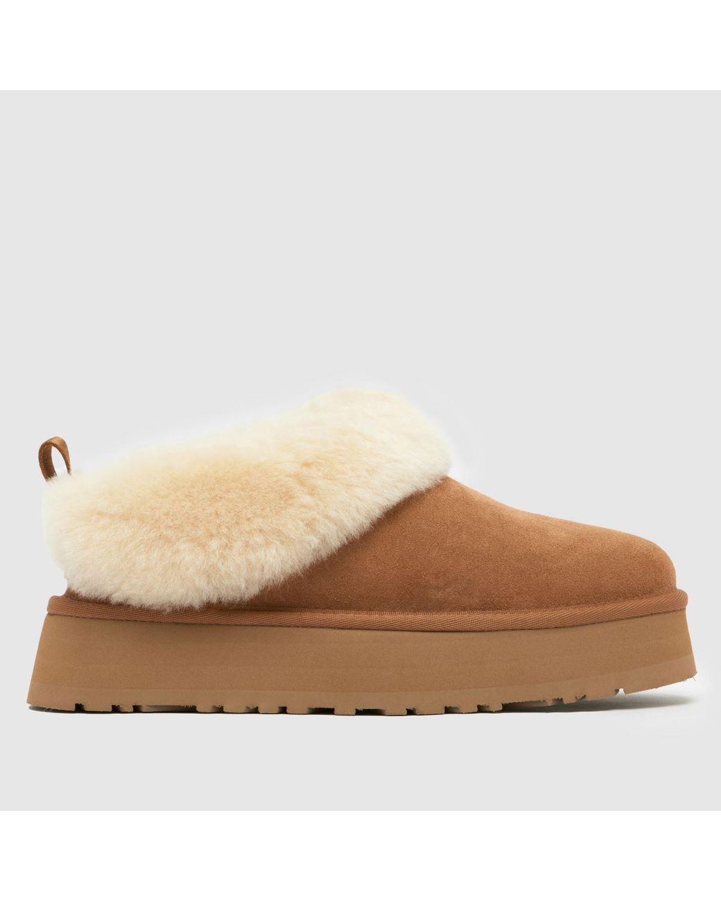 Ugg Brown Tazzelle Slippers