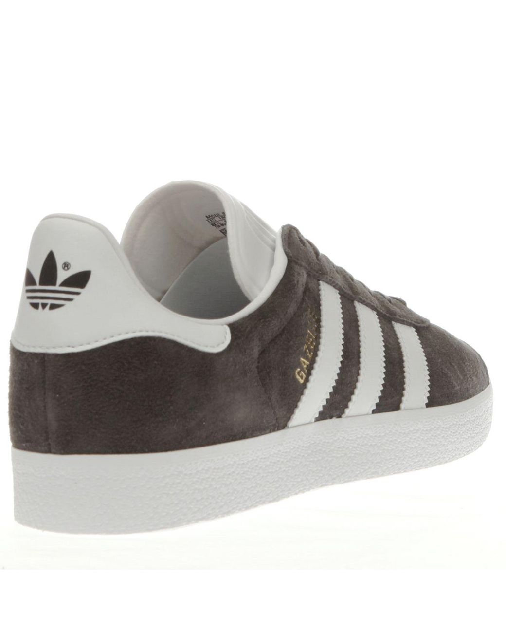 dark grey gazelles