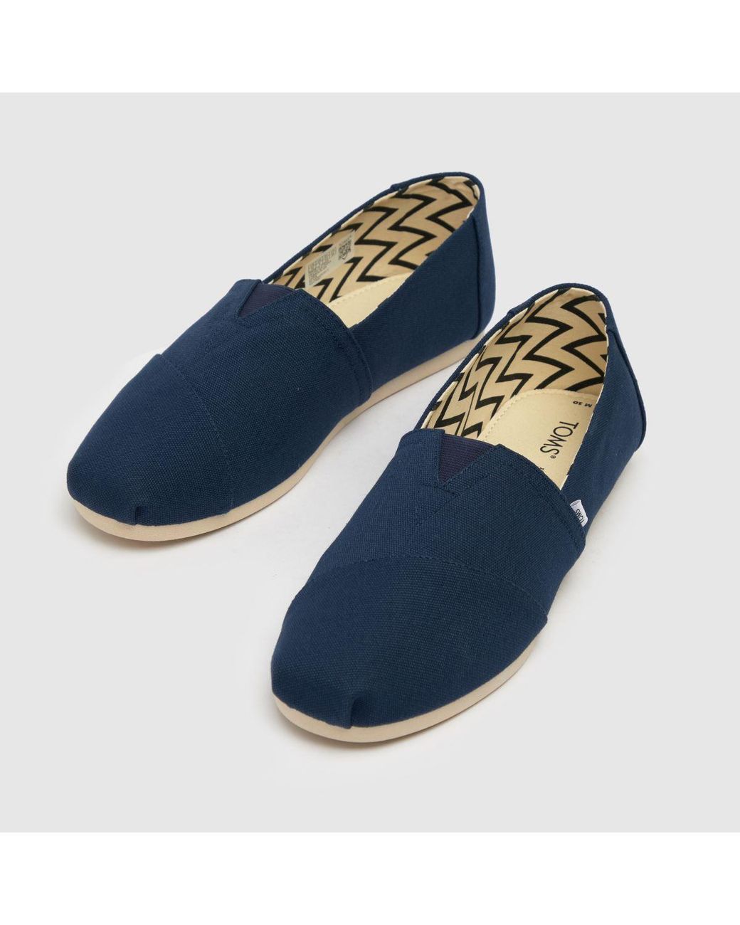 TOMS Blue Alp Shoes for men