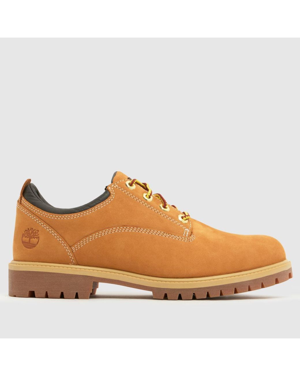 Timberland Brown Heritage Shoes for men
