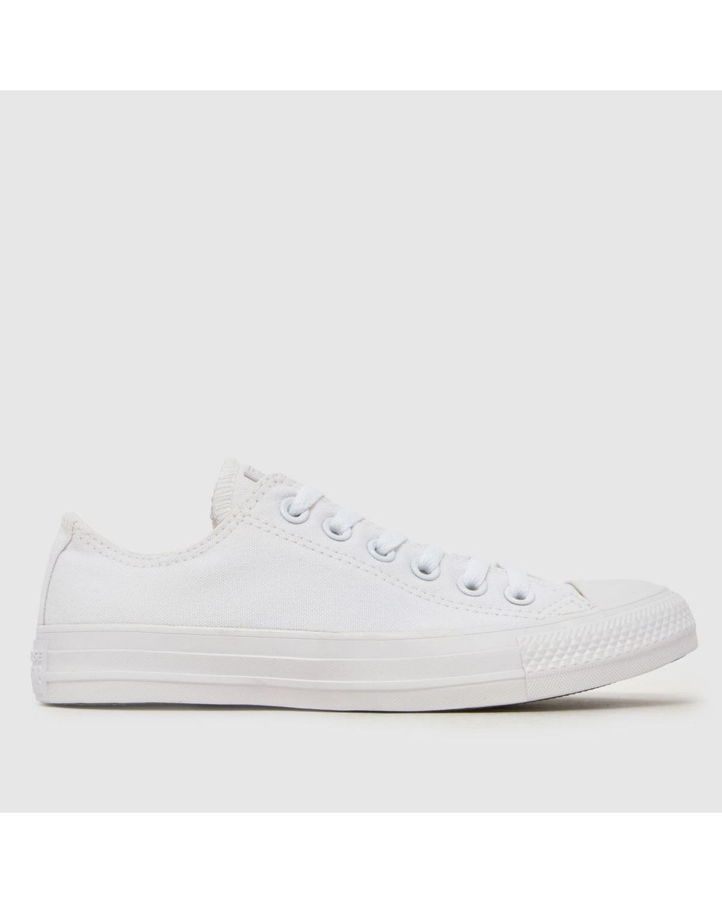 Converse White All Star Oxford Mono Trainers