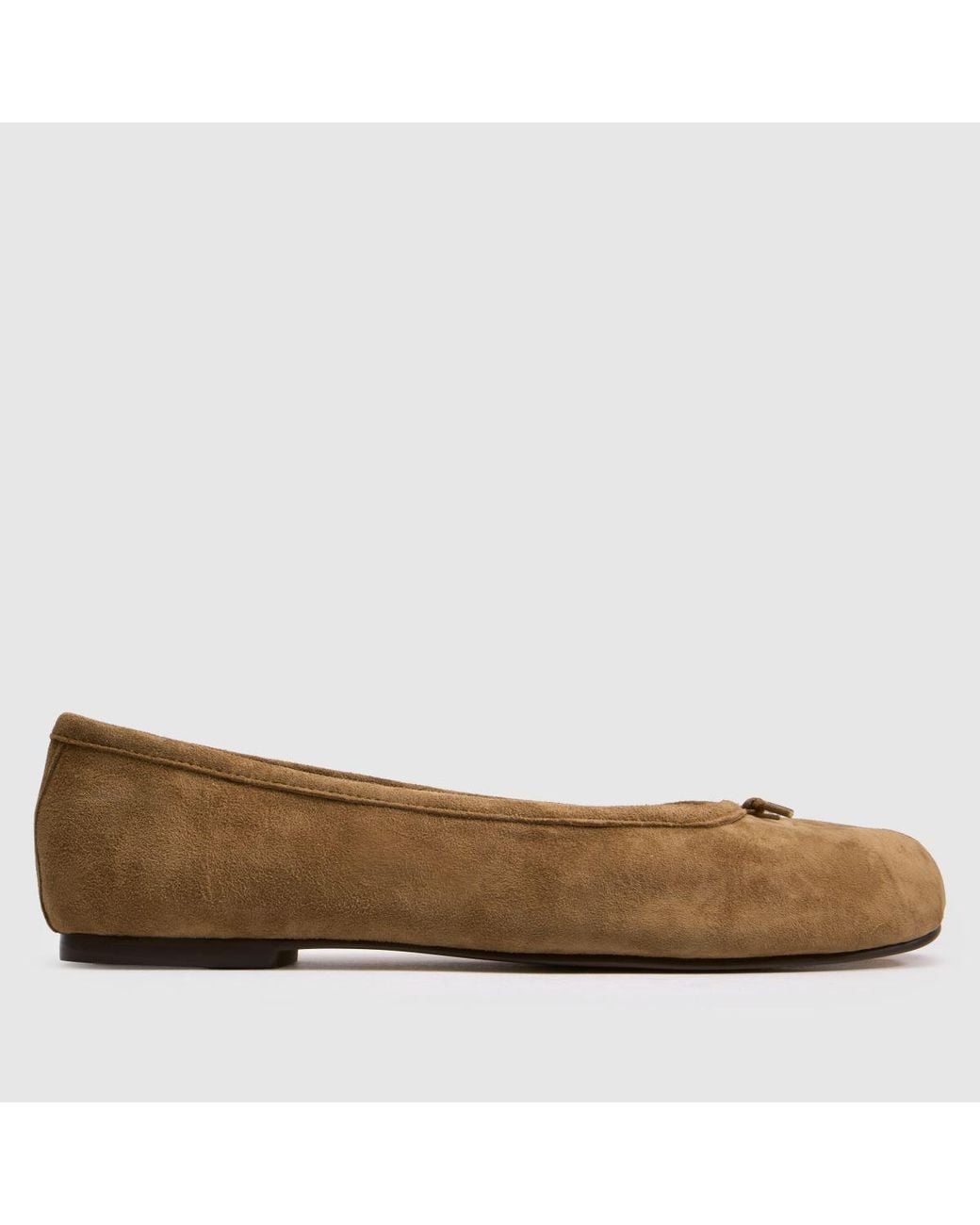Steve Madden Brown Cipher Ballerina Flats